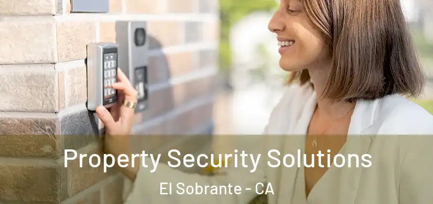  Property Security Solutions El Sobrante - CA
